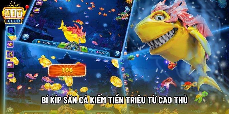 Bí kíp săn cá kiếm tiền triệu từ cao thủ